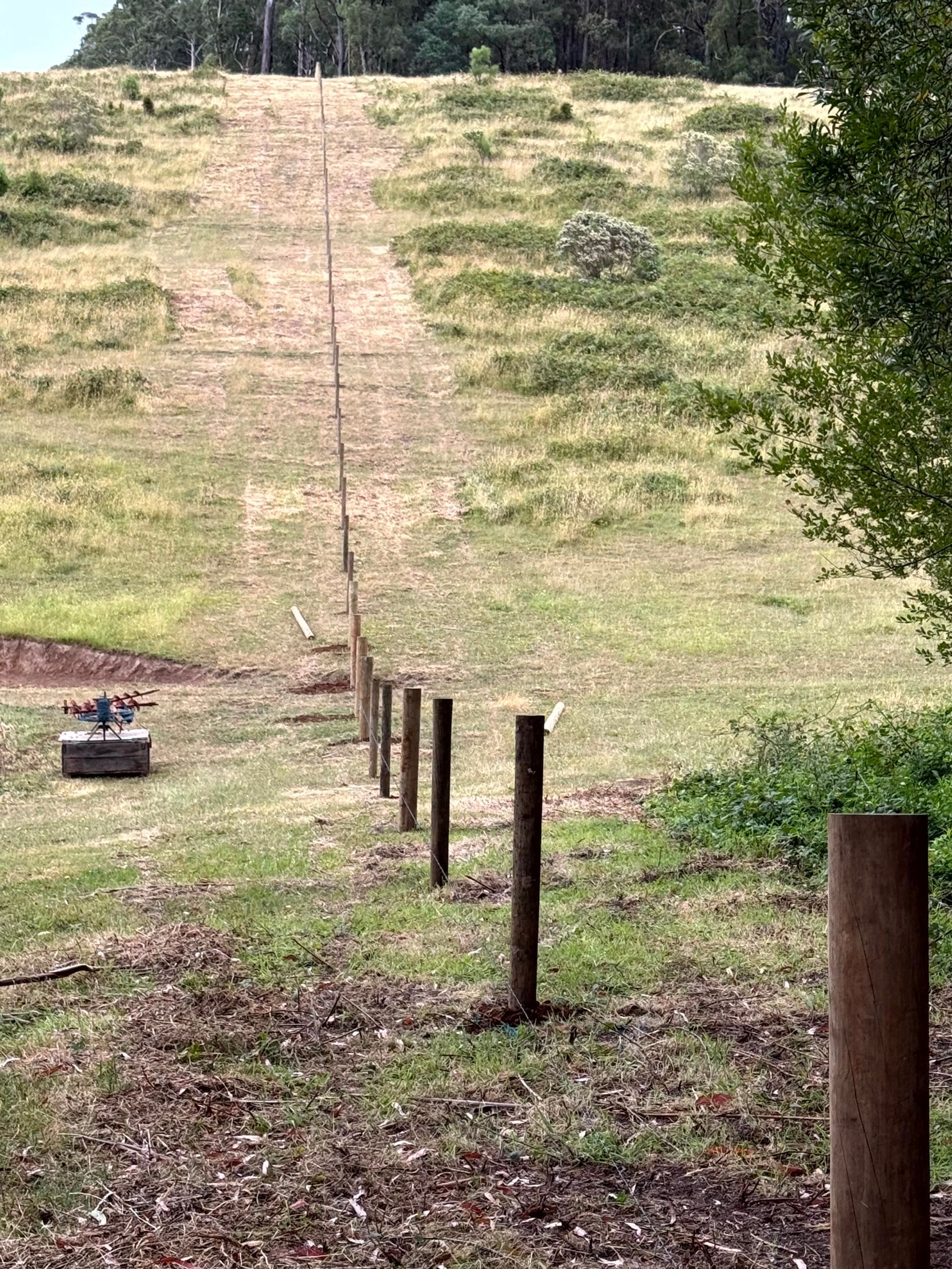 Mowed grassy hillside with a narrow dirt path and wooden fence posts leading uphill