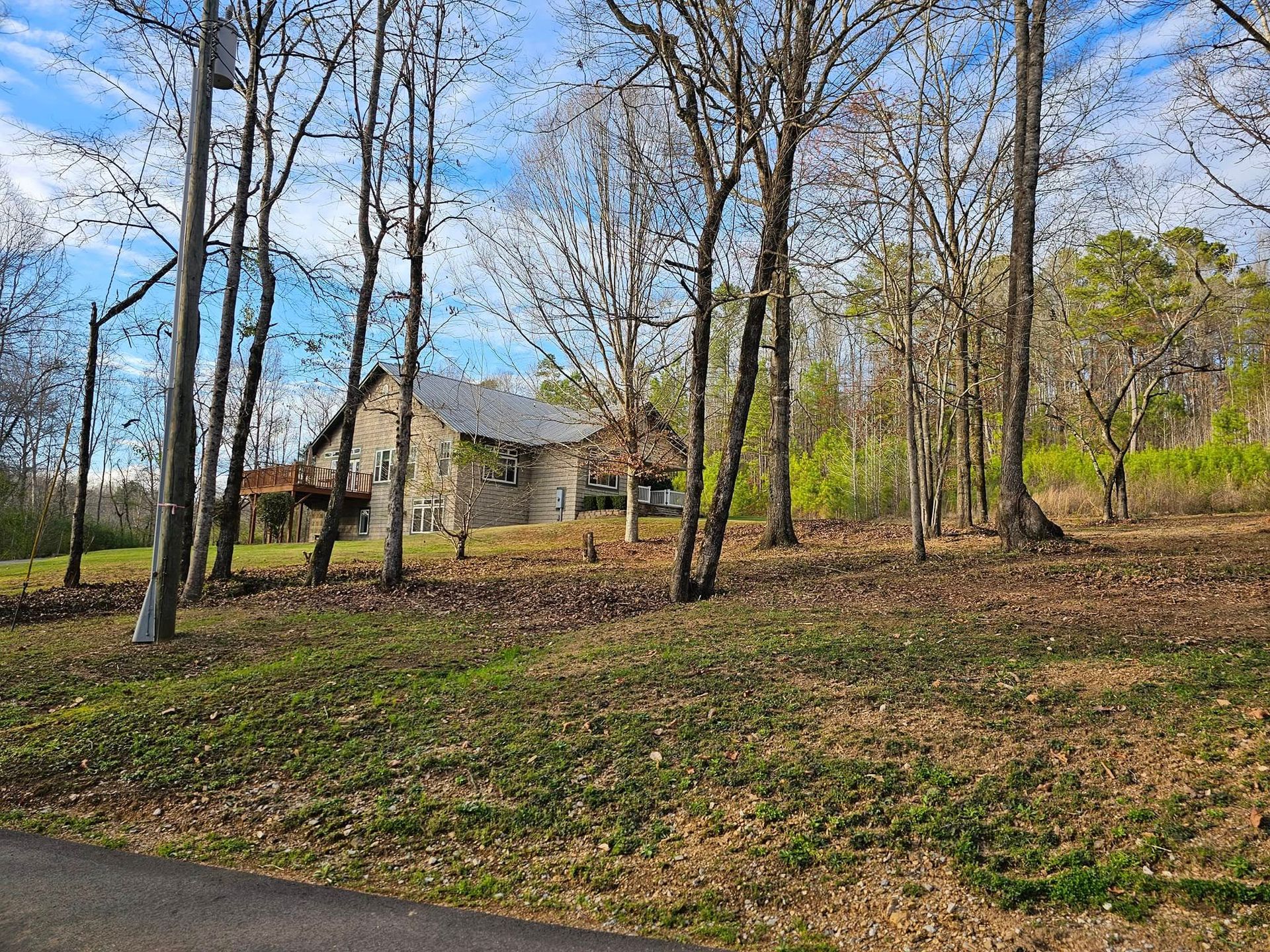 Leafy yard with tall bare trees and a small house under a blue sky.