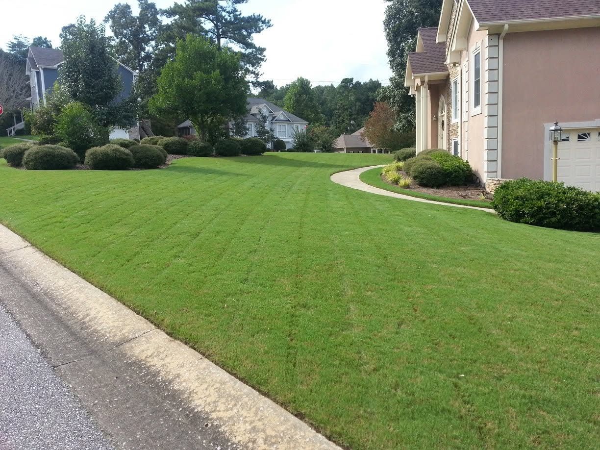 Suburban front lawn beside a curved sidewalk and beige house on a quiet street