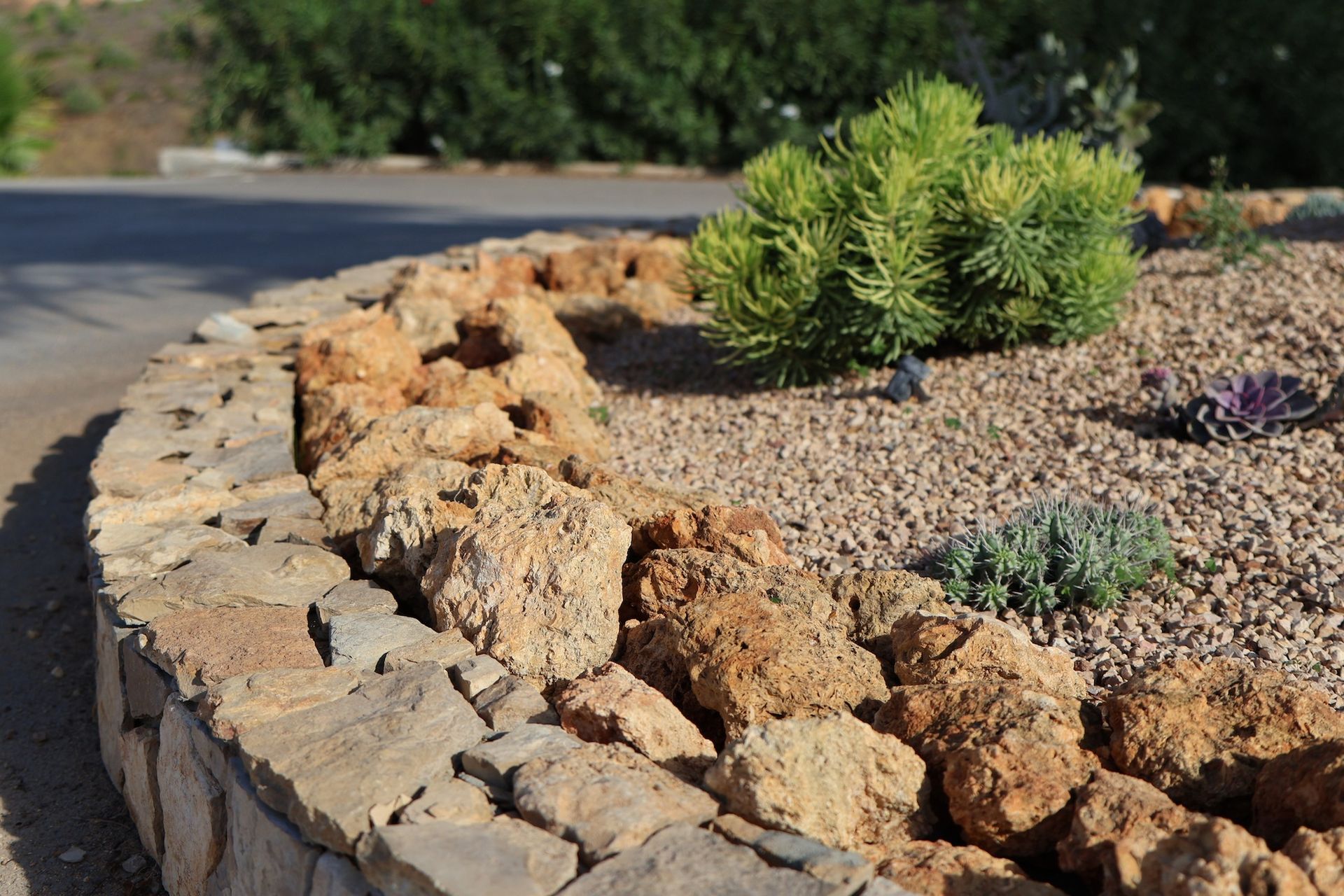 Rock border edging a gravel desert landscape with small green shrubs beside a paved driveway.
