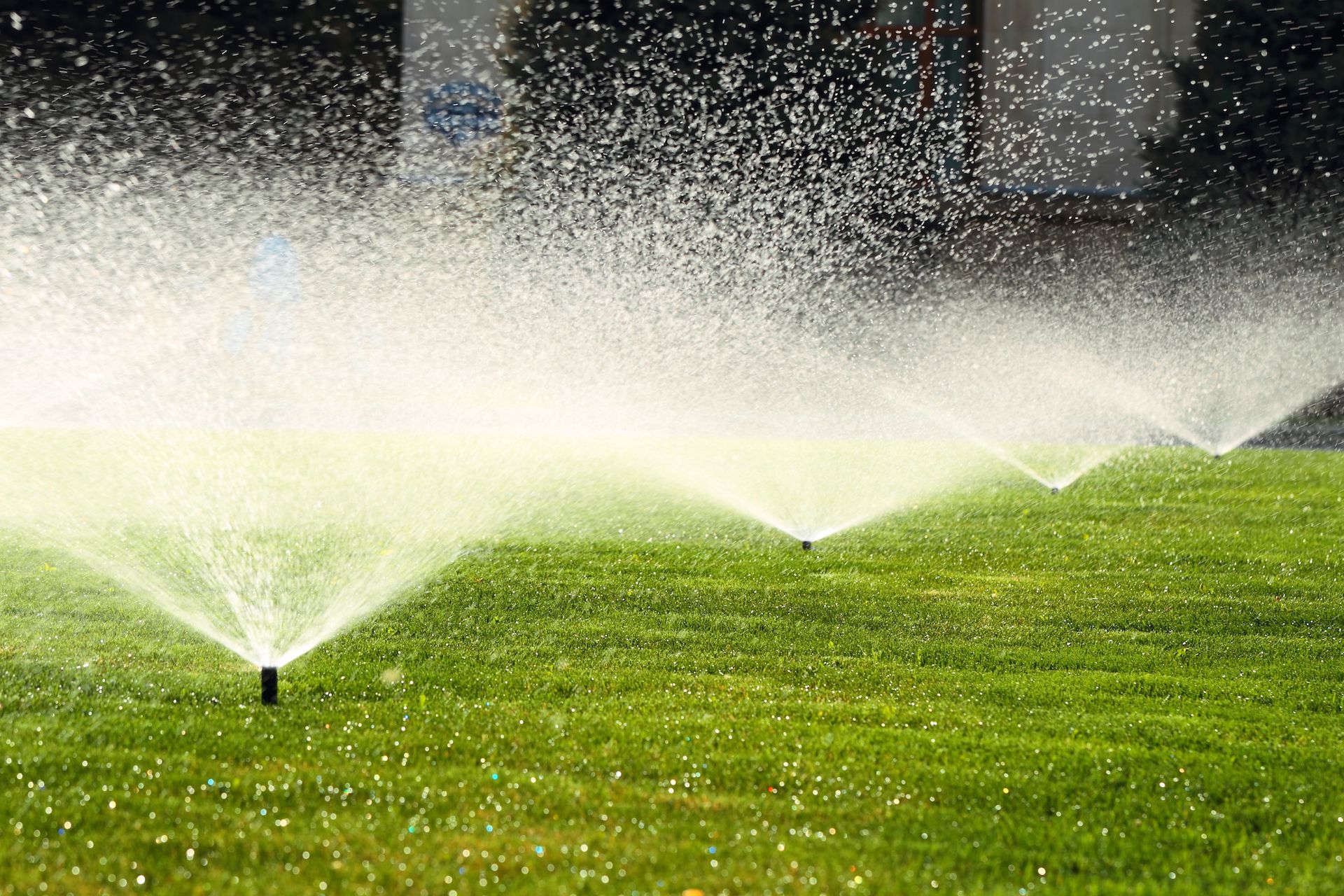 Sprinklers spraying water across a green lawn in bright daylight