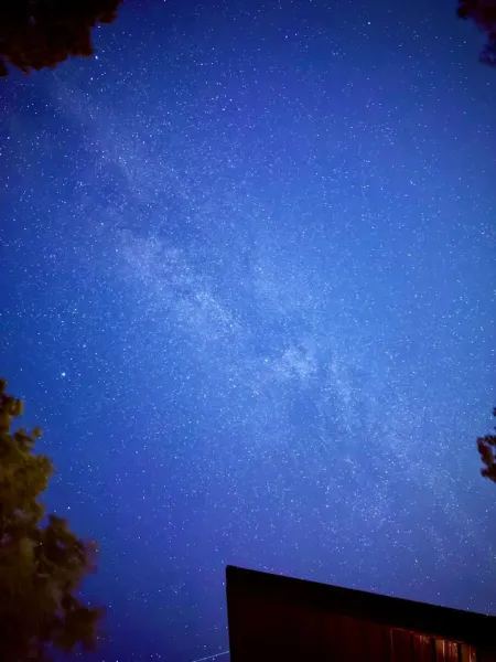 Starry night sky with a bright blue Milky Way above silhouetted trees and rooftop edges