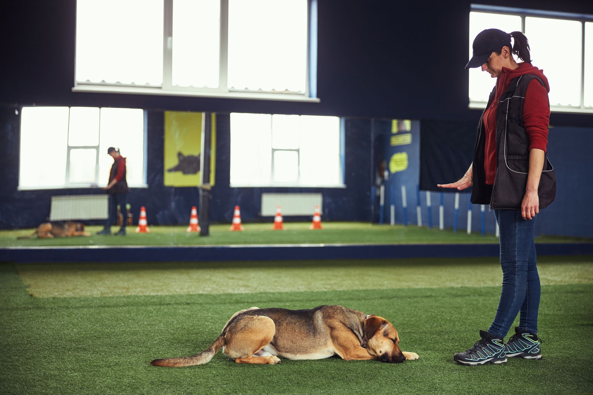 Aggressive dog trainer using a hand signal to keep a large dog calm in a down position.