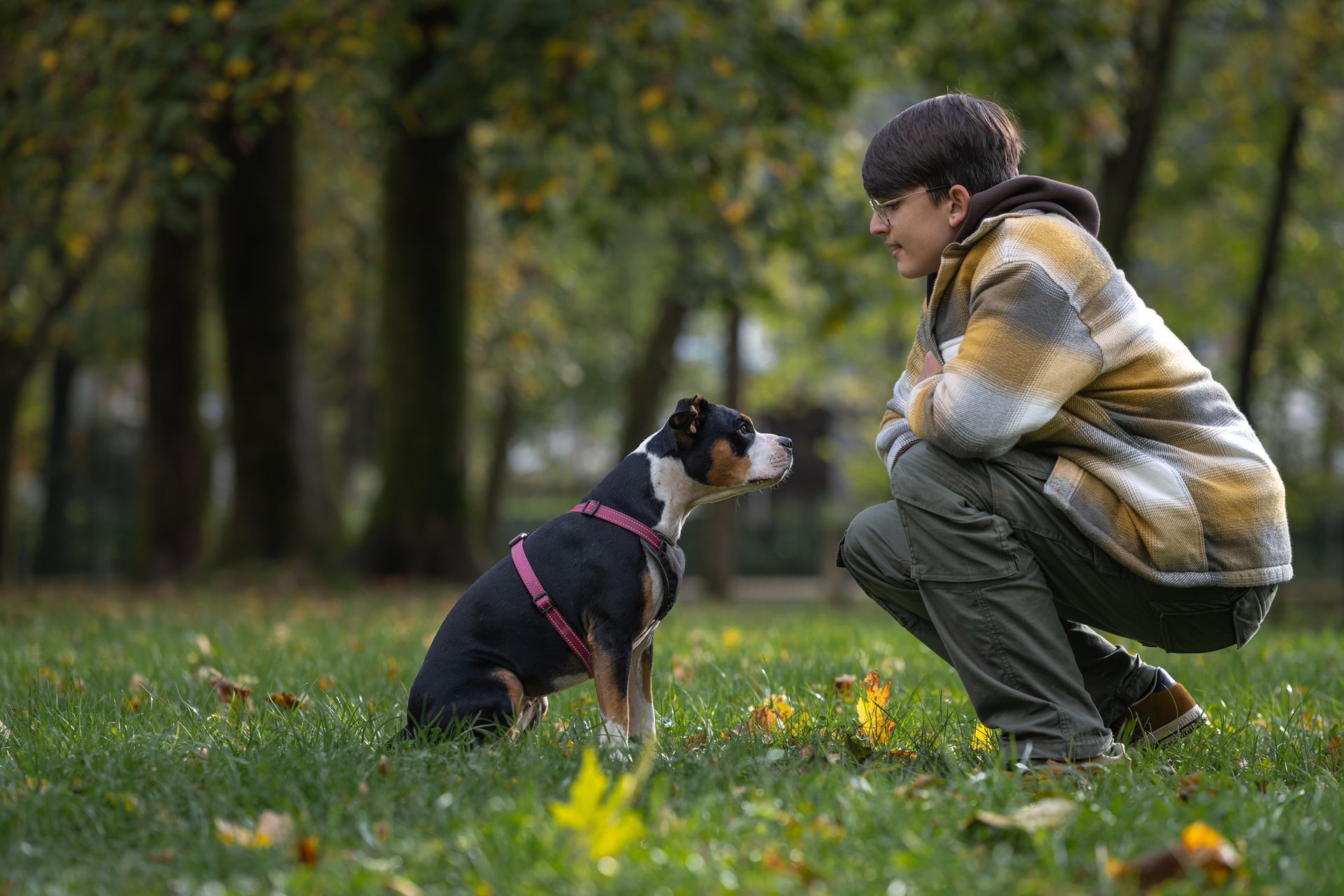 A woman is kneeling down next to a small dog in a park. A woman is kneeling down next to a small dog in a park.