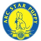 AKC Star Puppy