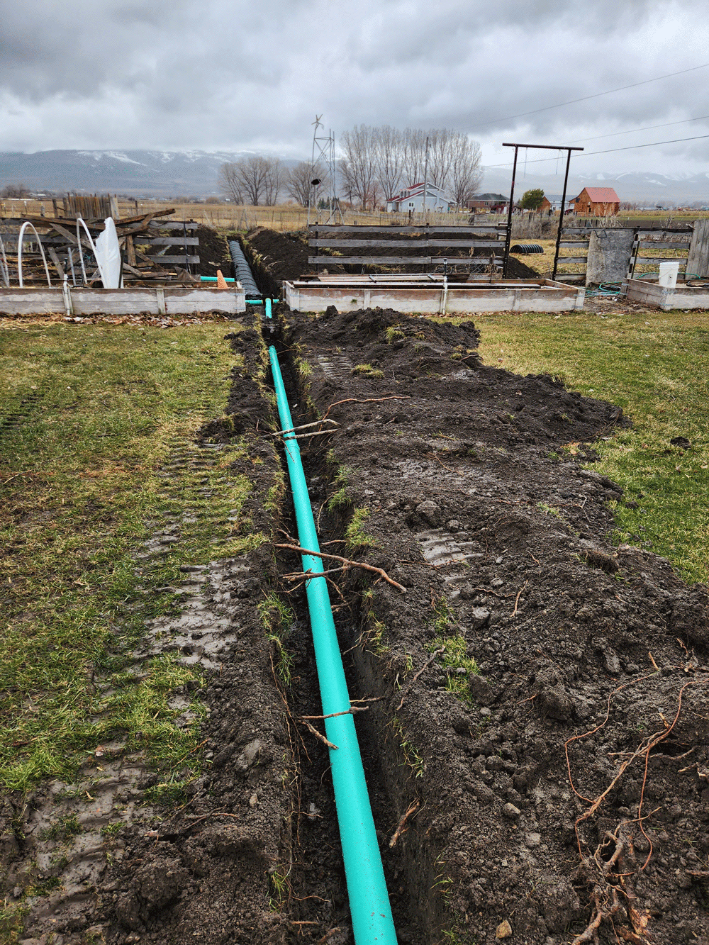 Green hose running through muddy garden bed toward stacked wood and a small shed under an overcast sky