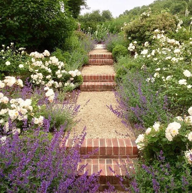 A Contemporary cottage garden