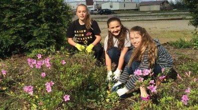 Three girls, wearing gloves, gardening among pink flowers.