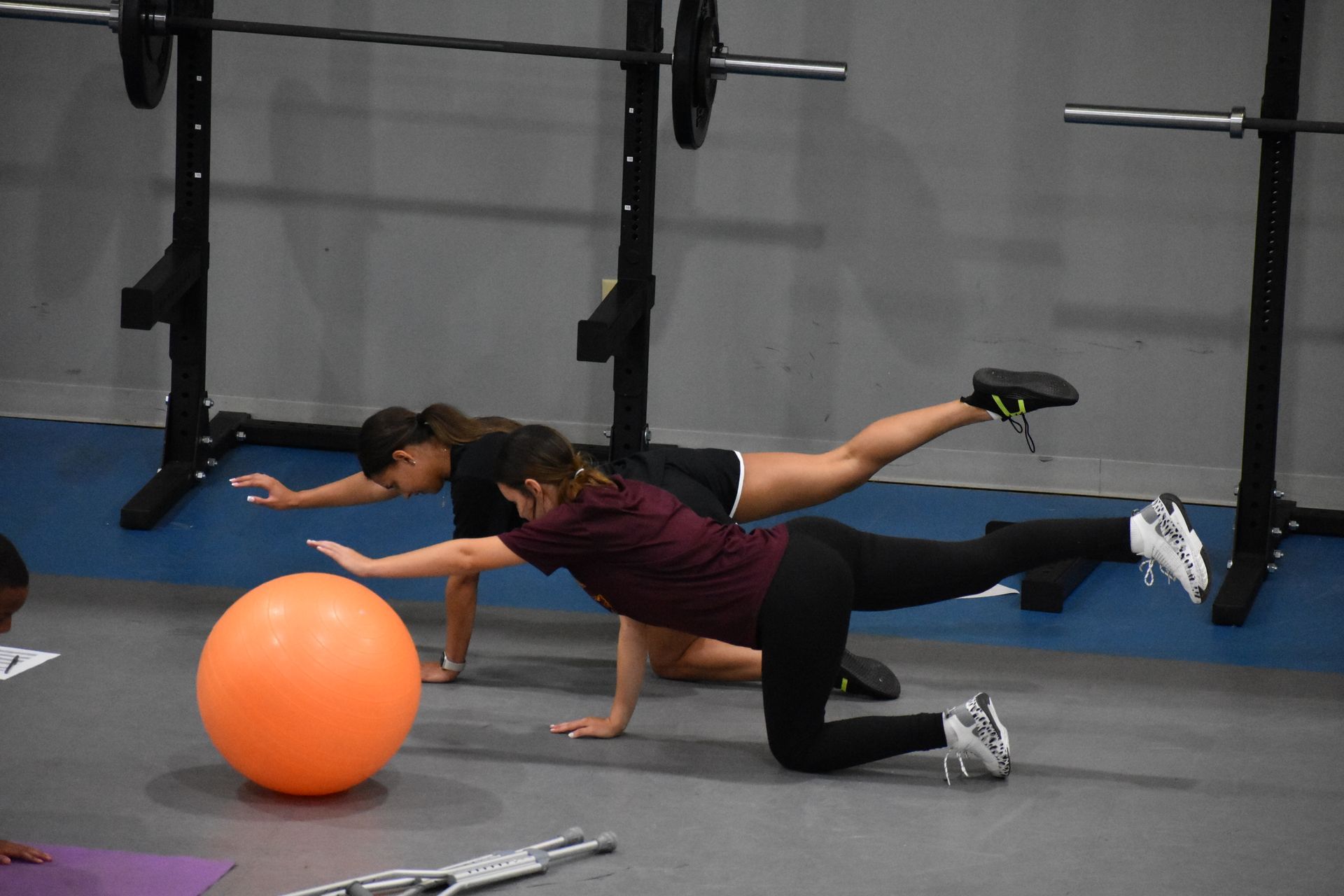 Two women in gym balancing on hands and knees, lifting opposite limbs; orange exercise ball nearby.