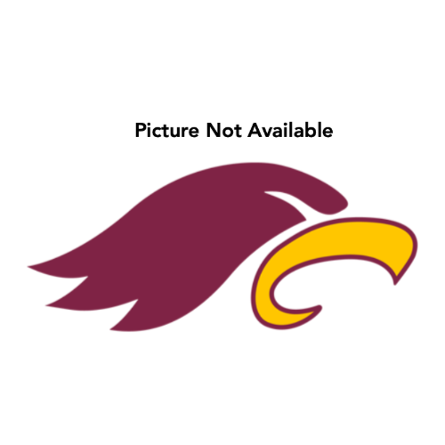 Maroon and gold eagle head logo.