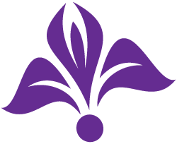 A purple flower with white leaves and a white center on a white background.