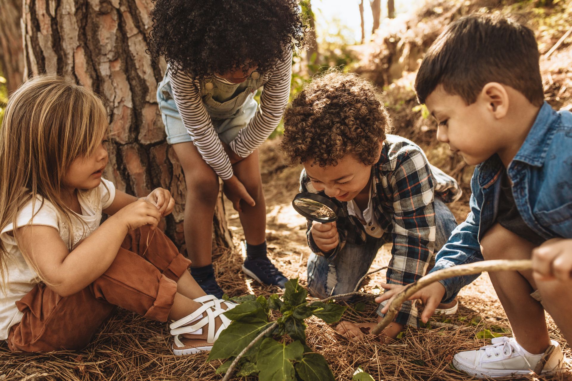 Children examining plants in a forest with a magnifying glass and sticks; learning outdoors.
