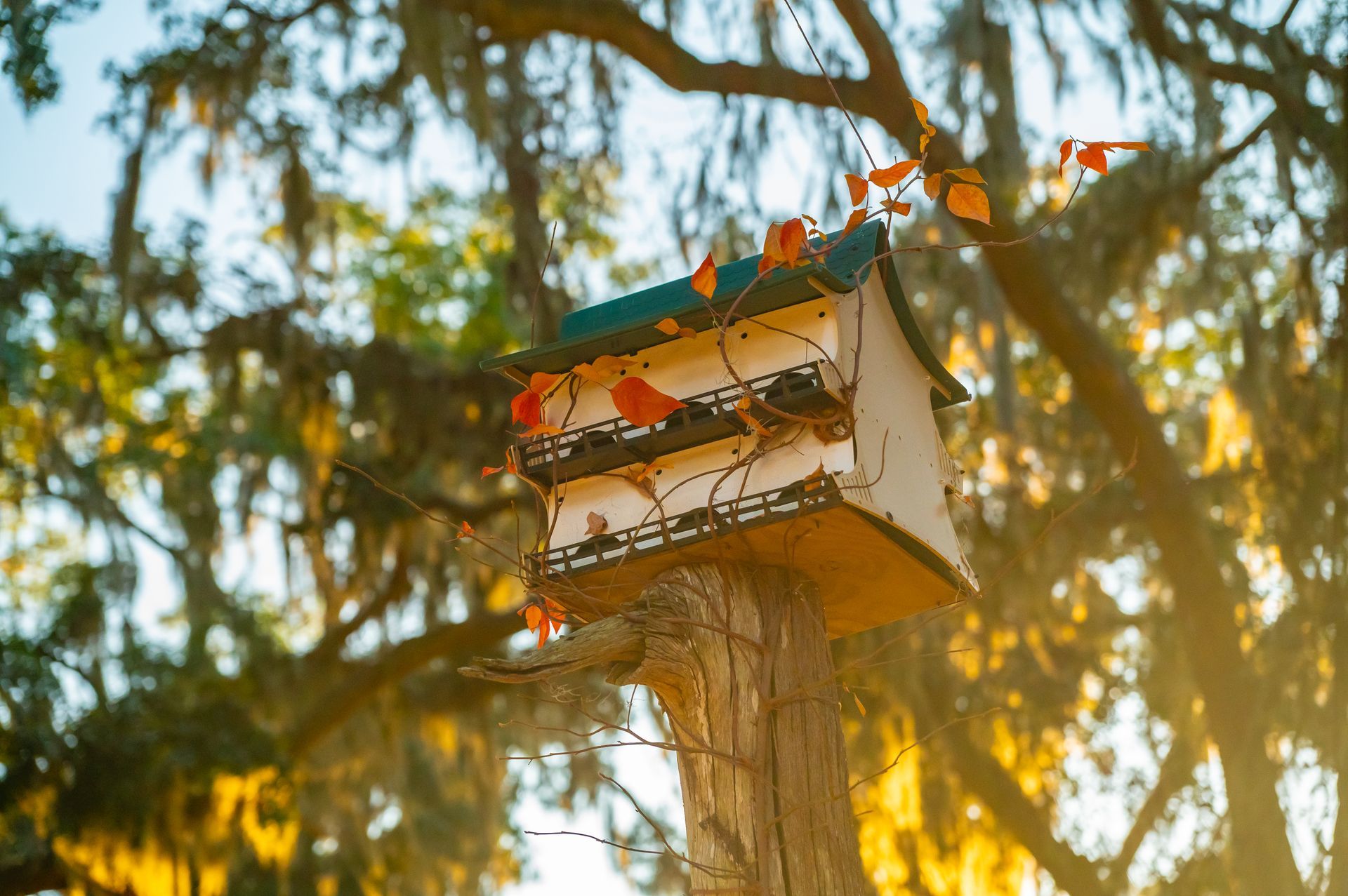 Birdhouse on a wooden post, with orange and green decorations, set against a blurred tree background.