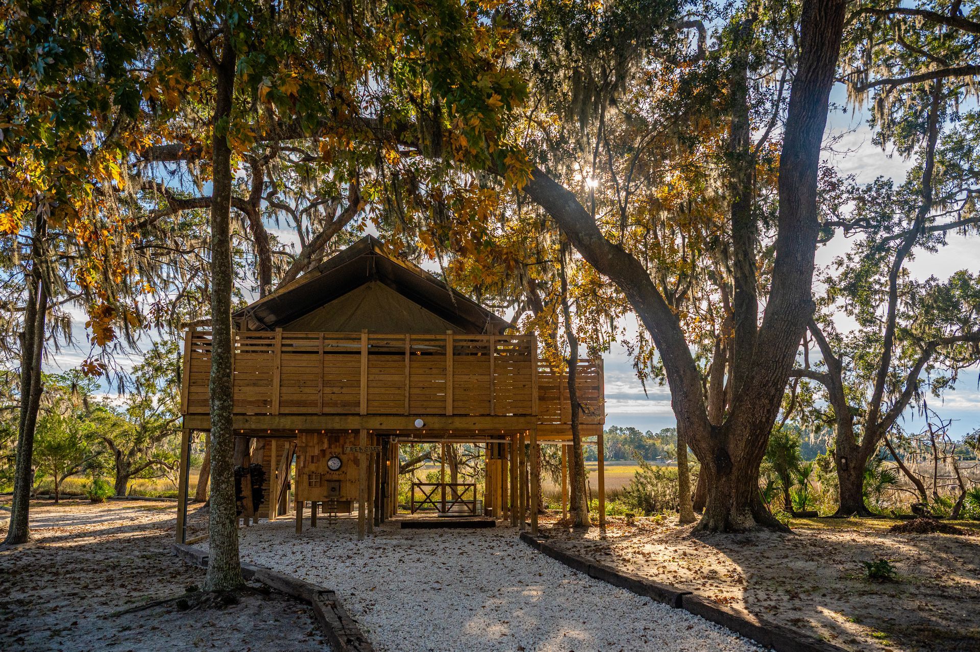 Treehouse cabin in a sunny forest clearing, with a wood-chip path leading to it.