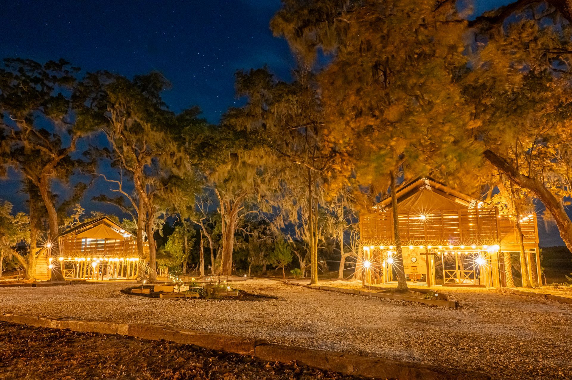 Two wooden cabins illuminated at night, surrounded by trees and a starry sky.