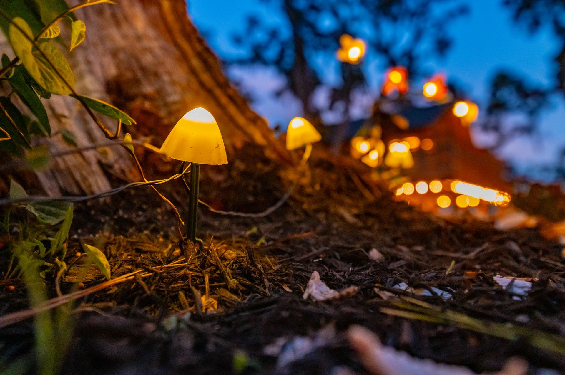 Glowing mushroom-shaped lights on forest floor with a blurred background of more lights at dusk.