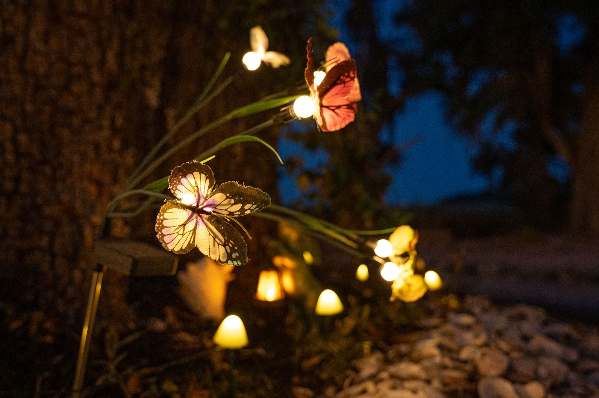 Illuminated butterfly garden sculpture at dusk.
