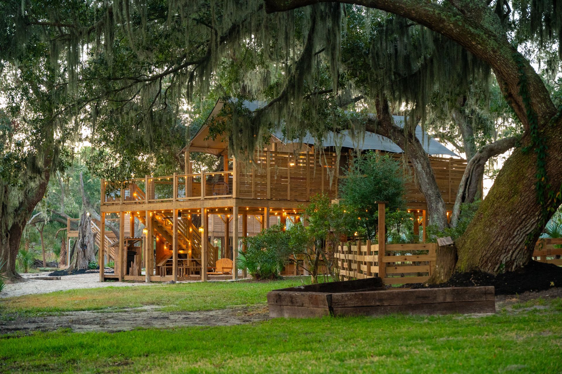 Wooden two-story structure with string lights in a yard, under a large tree with Spanish moss.