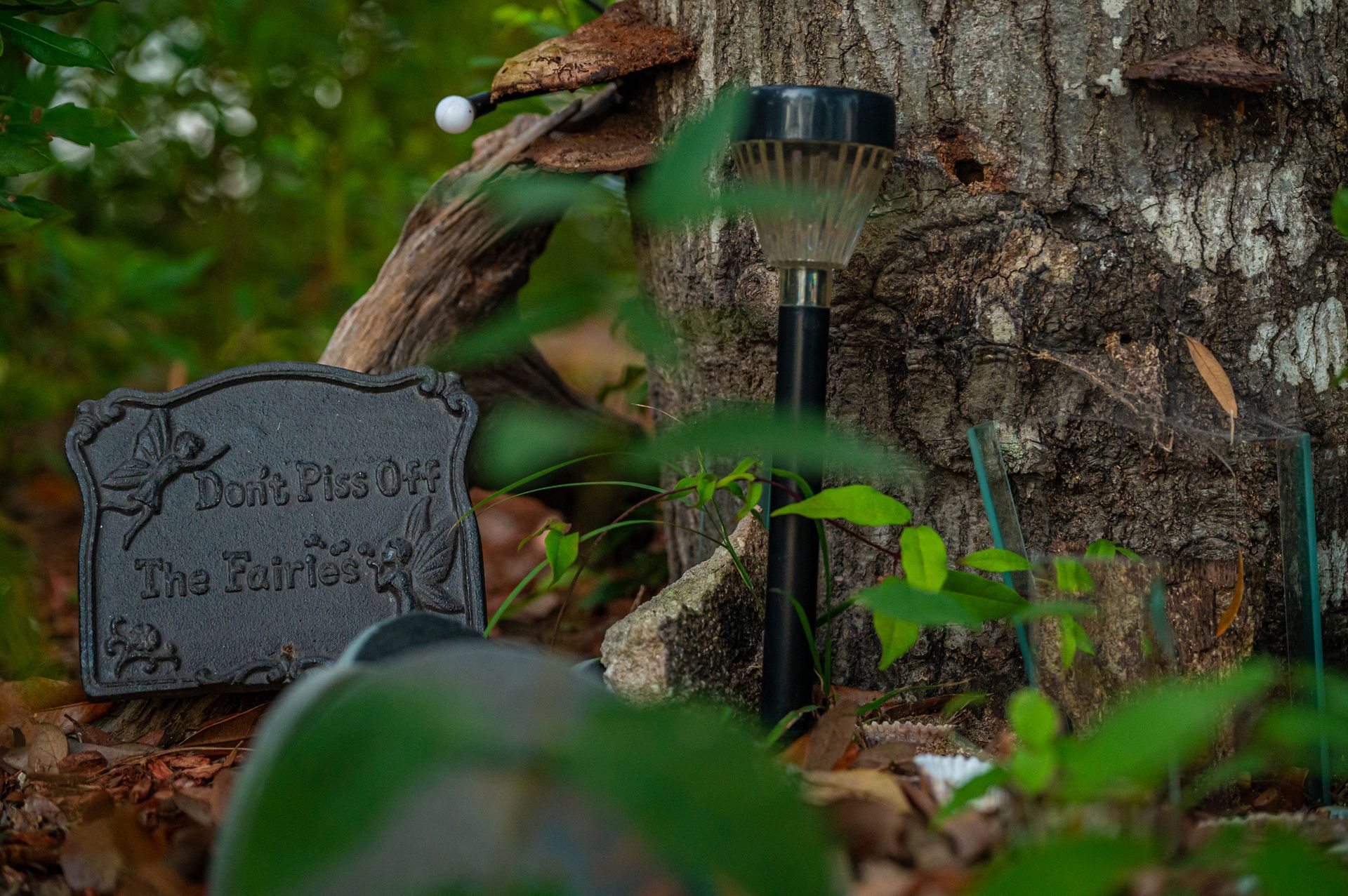 A fairy garden on a tree. Includes a tombstone, solar light, and mushrooms. Green foliage.