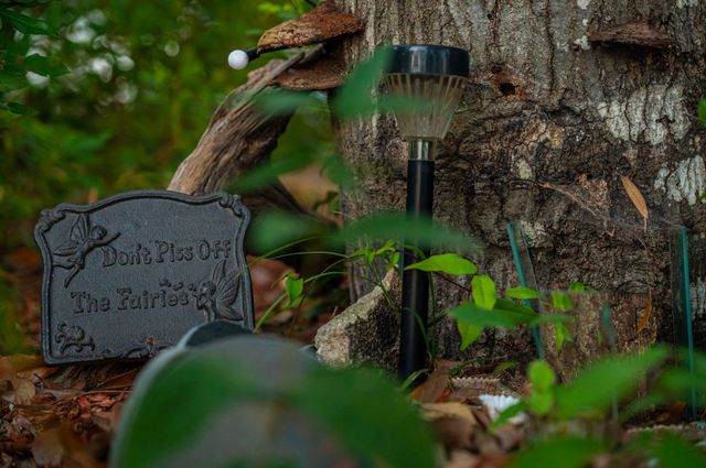 Fairy garden detail: Tombstone "Don't Pick the Fairies," tree with mushrooms, solar light, green plants in outdoor setting.