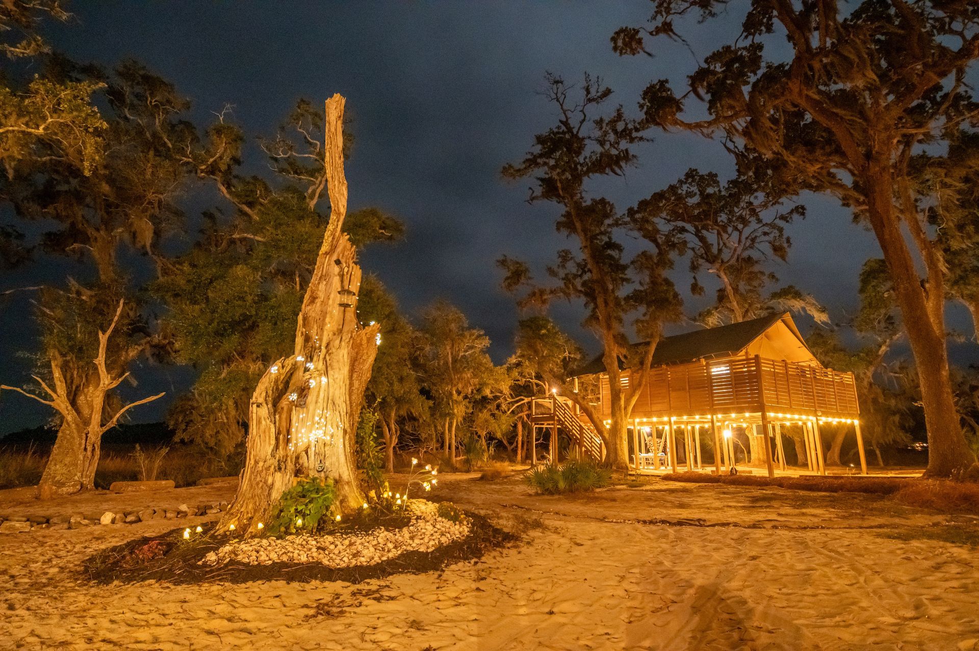 Nighttime view of a treehouse illuminated by lights in a forest setting. A large, lit stump is in the foreground.
