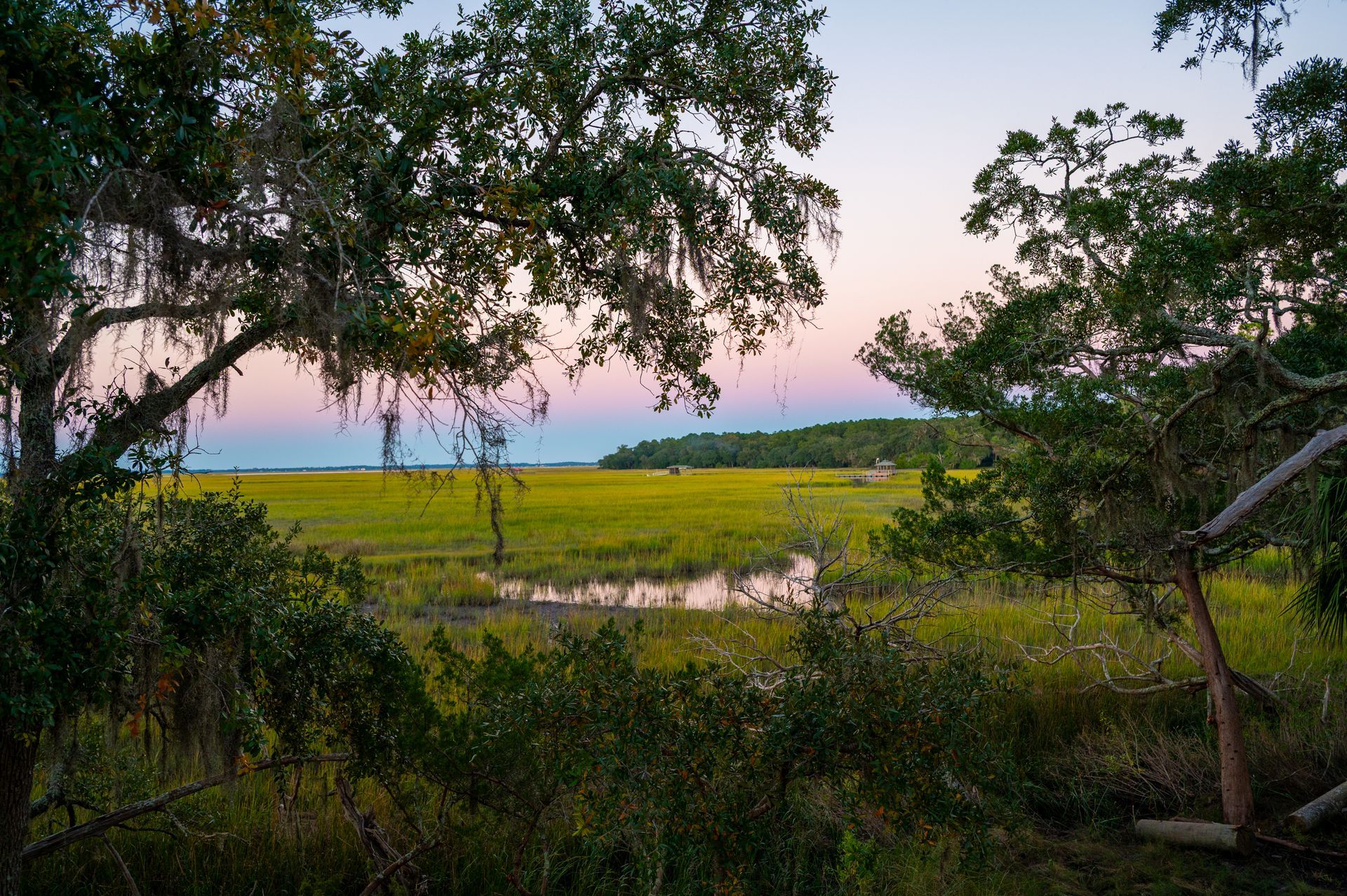 Marsh at dusk, trees frame a view of the grassy marsh, a pink and blue sky overhead.