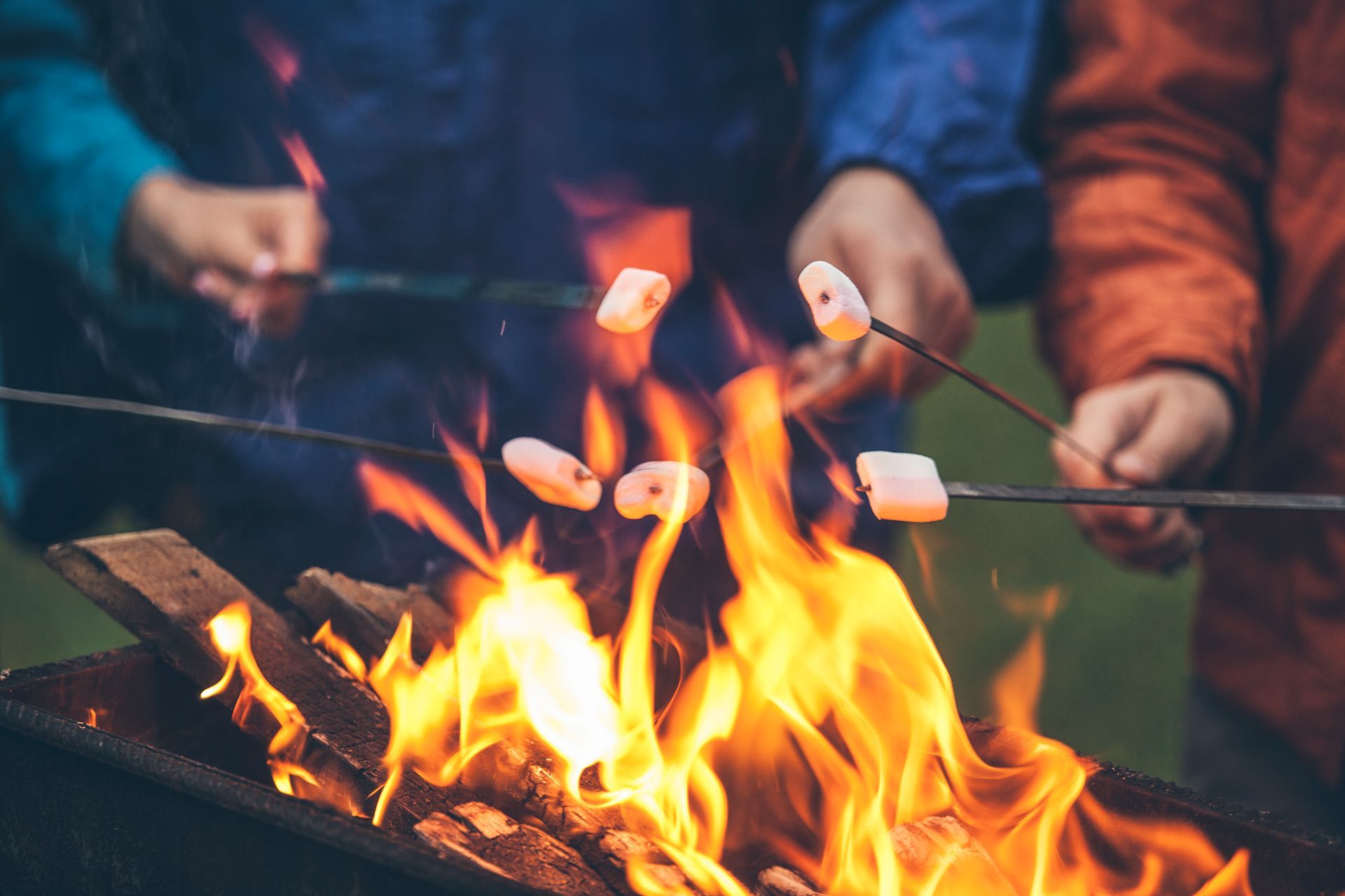 Marshmallows roasting over a bonfire, held by two people. Flames and wood are visible.