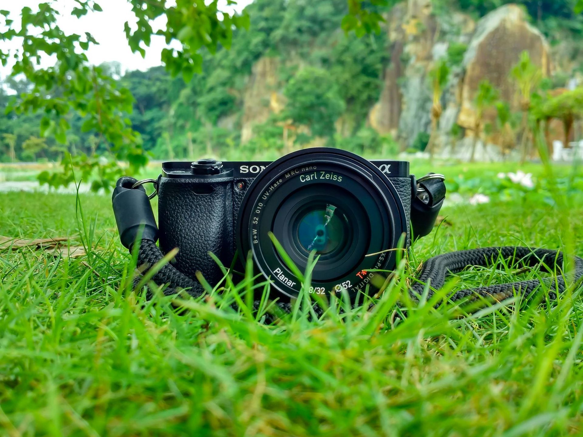 Black camera resting in green grass, with blurred foliage and rocks in the background.