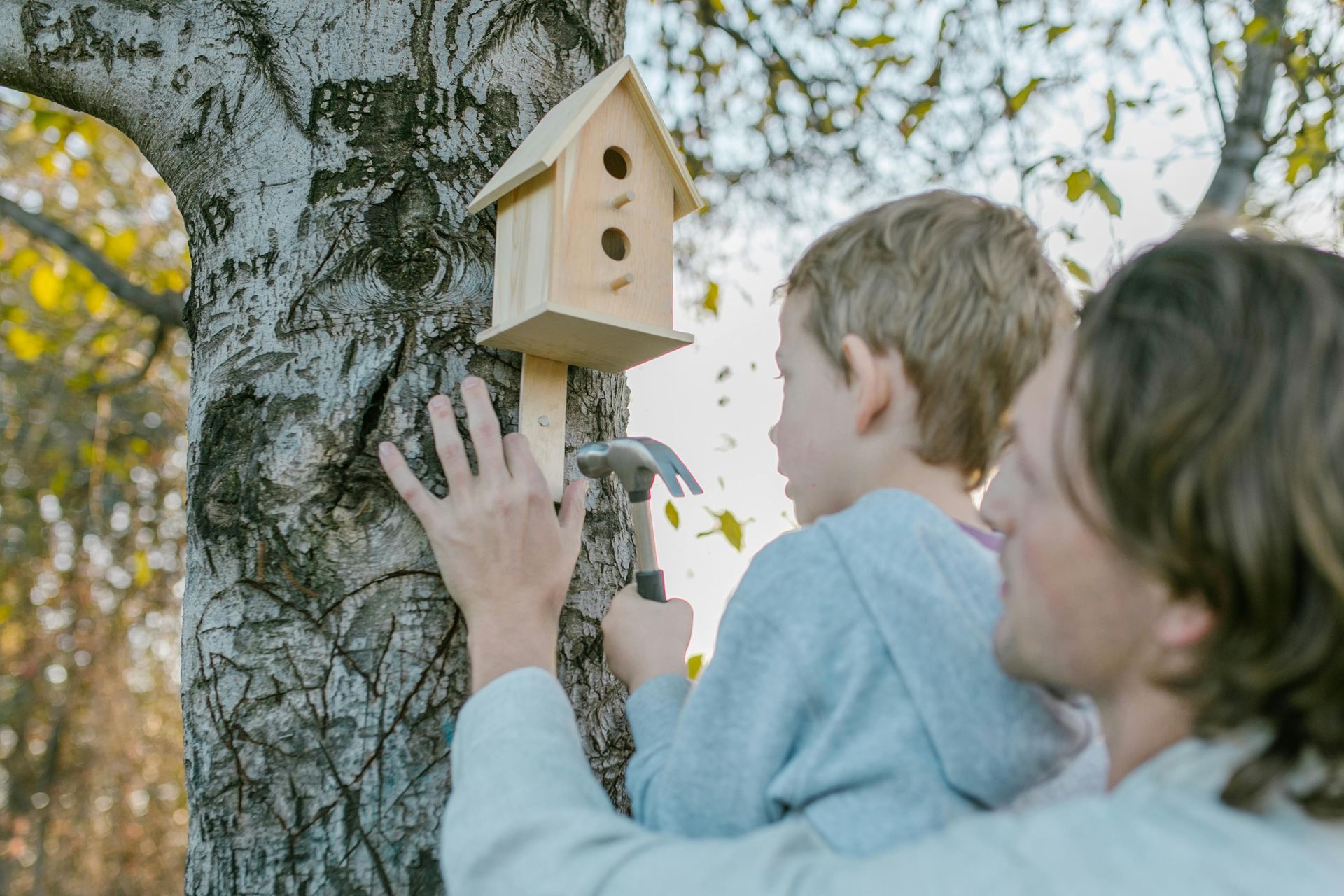 Father and child hammering a birdhouse onto a tree.