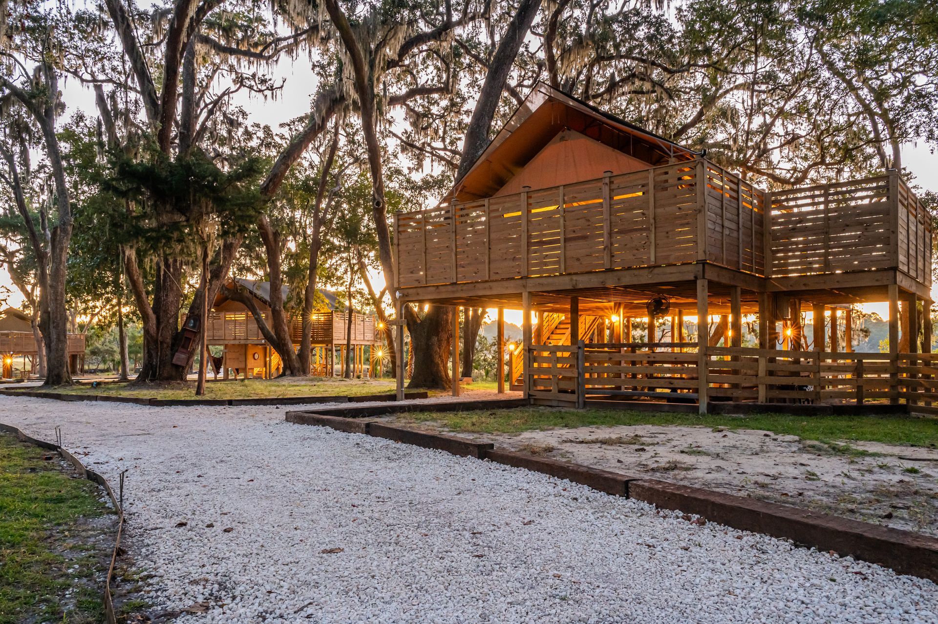 Wooden treehouse cabins with elevated decks, gravel pathway through a wooded setting at dusk.