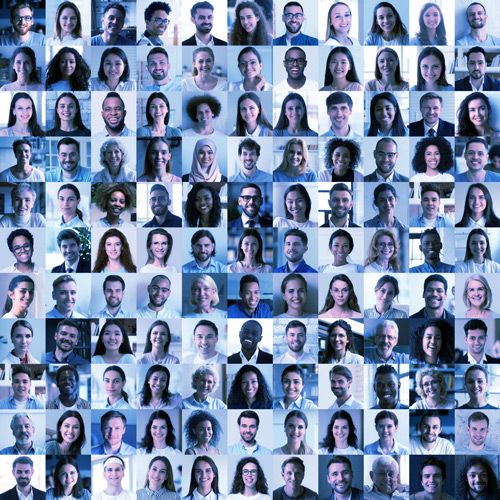 Industry-leading research capability, our range of Corporate & Candidate Intelligence services