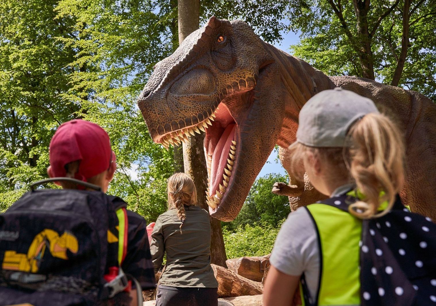 Upplev ventyr F r Familjen I Sk nes Djurpark Djur Natur ventyr Upplev ventyr F r Familjen I Sk nes Djurpark Djur Natur ventyr