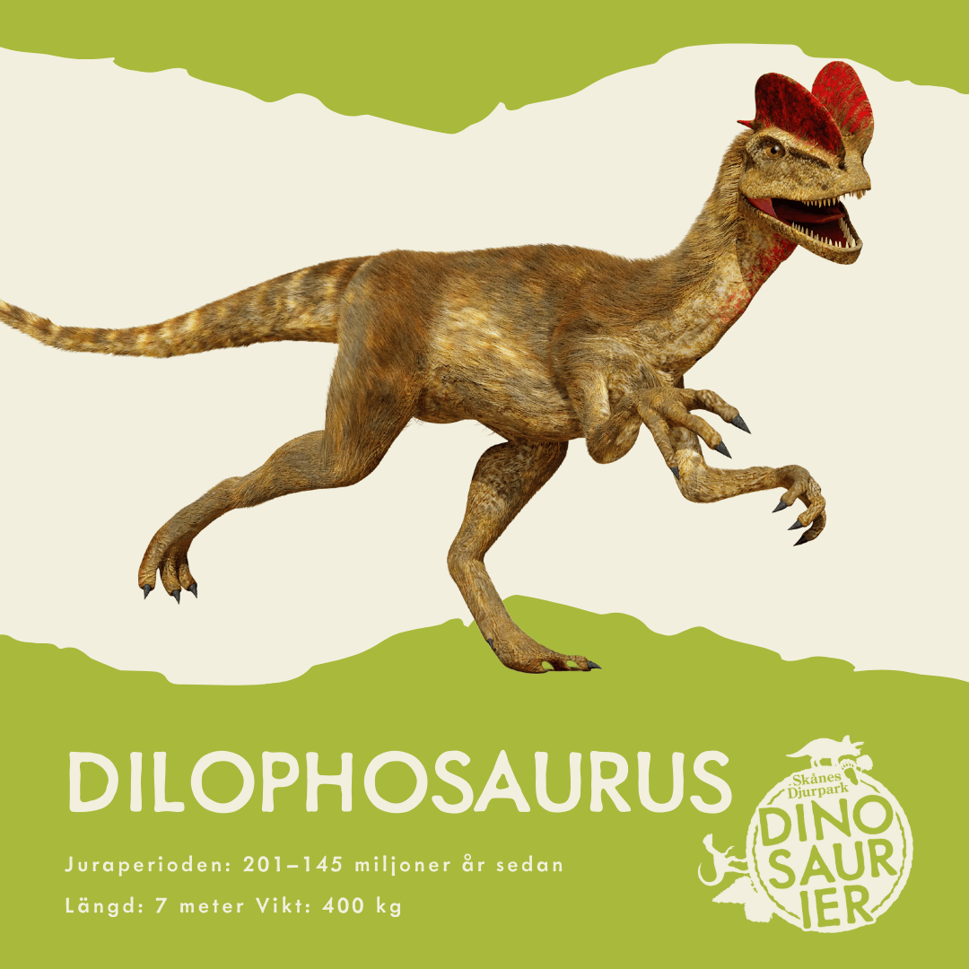 PALEONTOLOGENS LOGG - 26 APRIL 2022