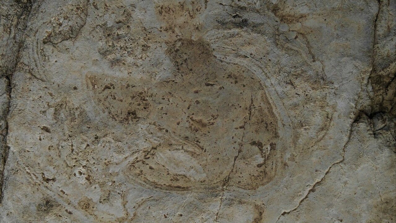 PALEONTOLOGENS LOGG - 26 SEPTEMBER 2023