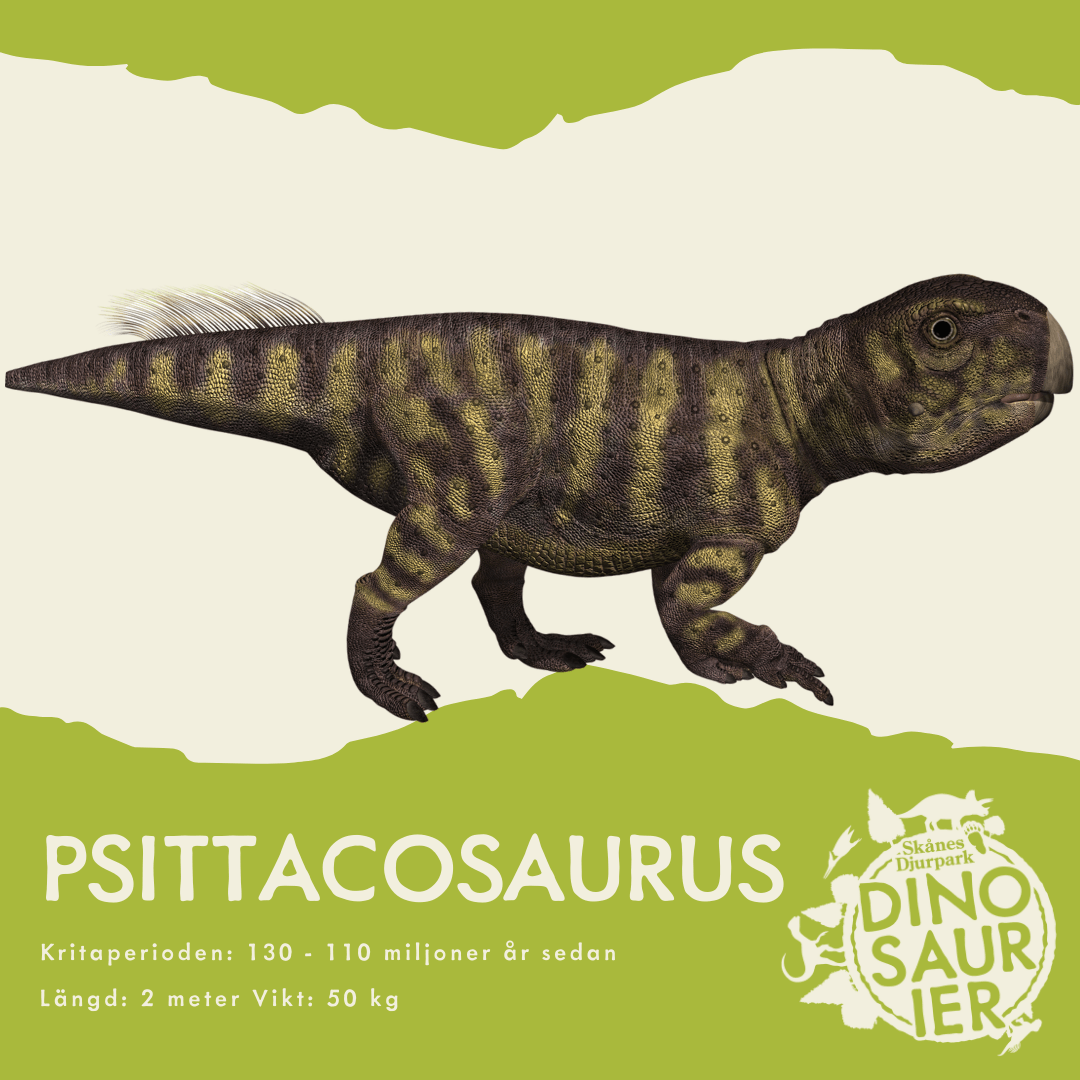 PALEONTOLOGENS LOGG - 10 MAJ 2022