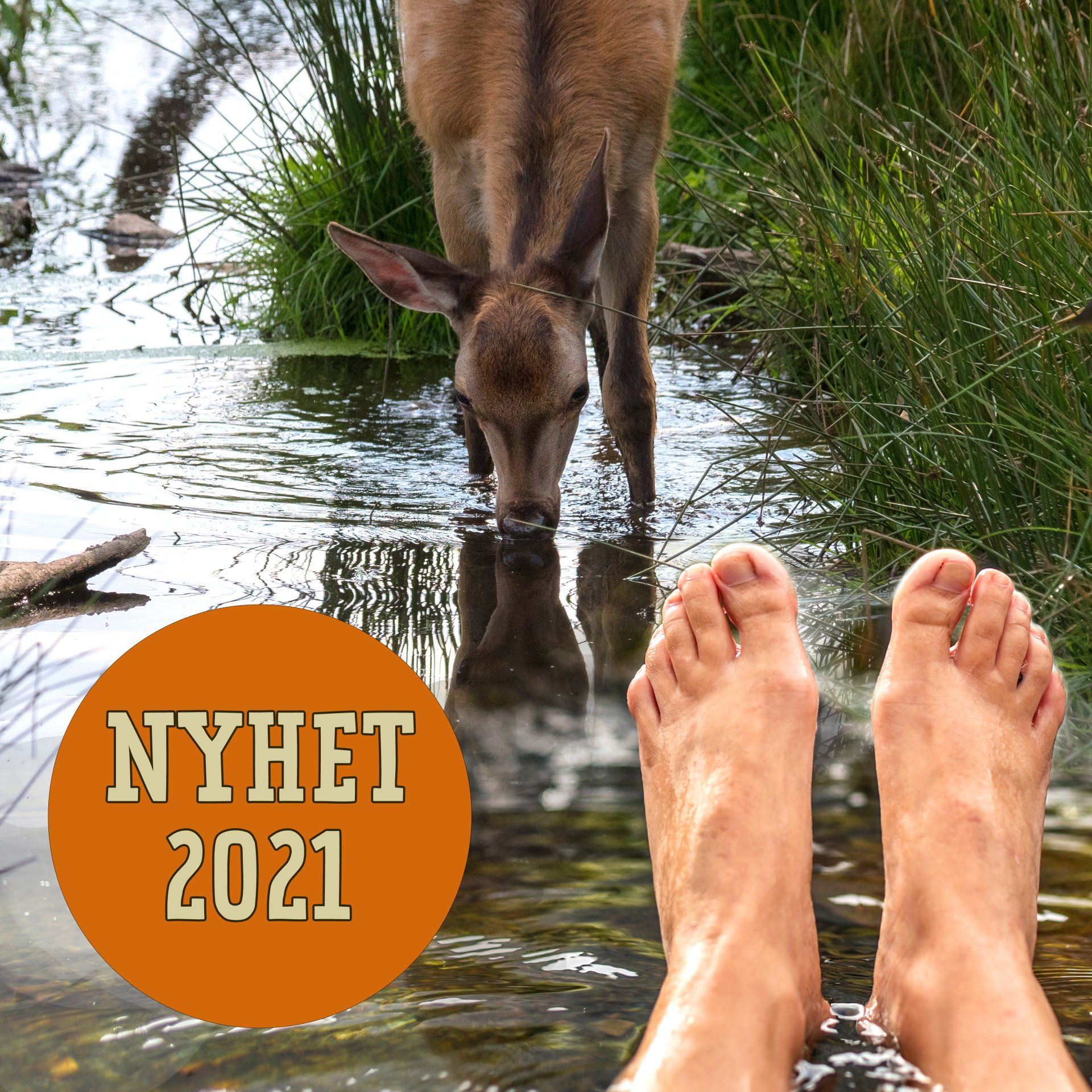 Unik spa-upplevelse i Skånes Djurpark: ta ett helande bad mitt bland kronhjortarna