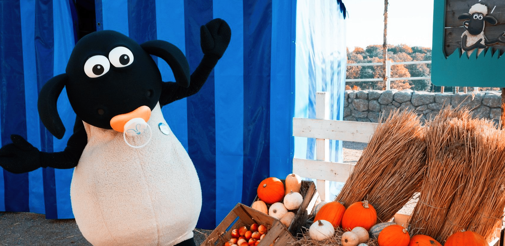 Fåret Shaun Land i Skånes Djurpar - möt Shaun och Timmy!