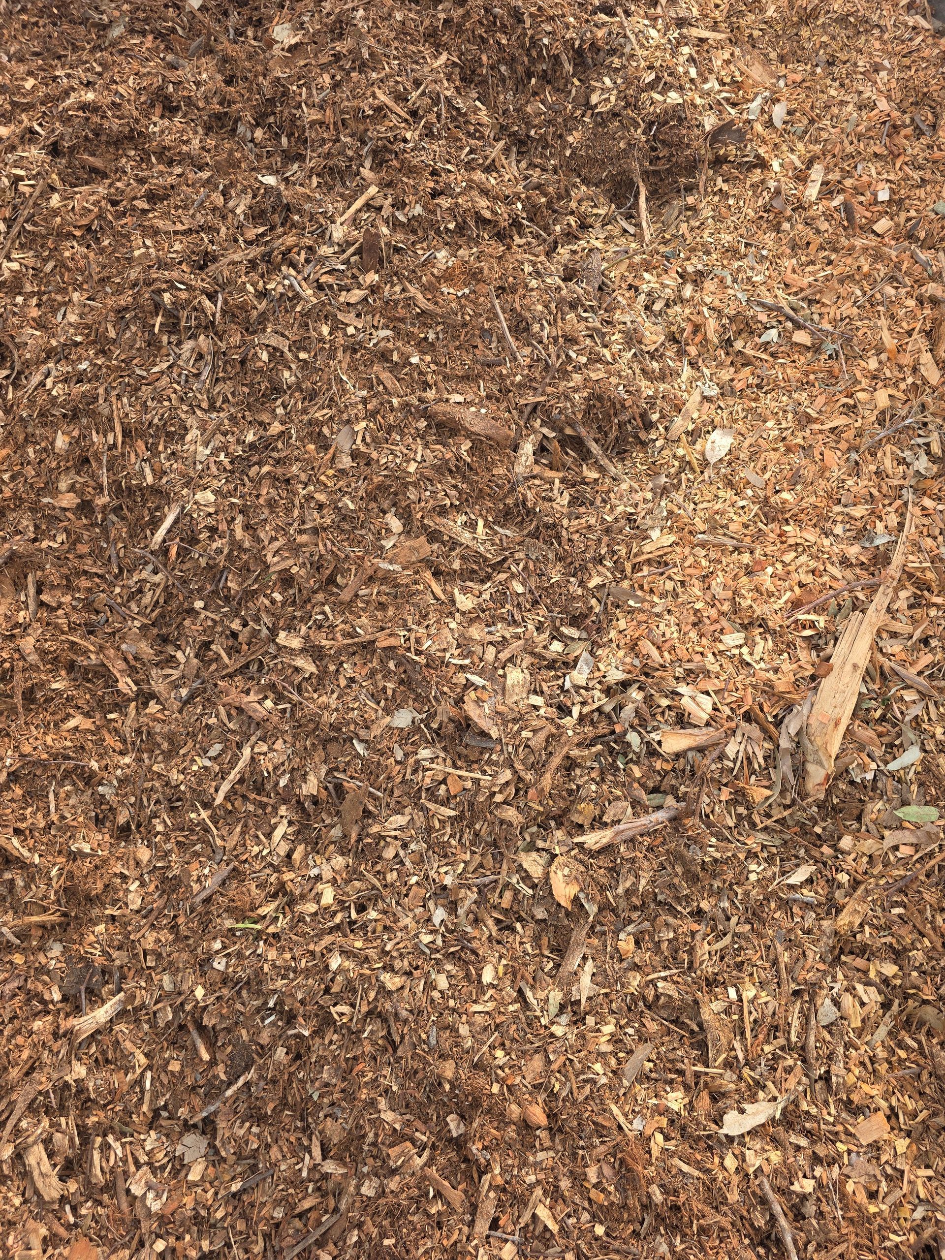 Brown wood chips scattered, covering the ground.