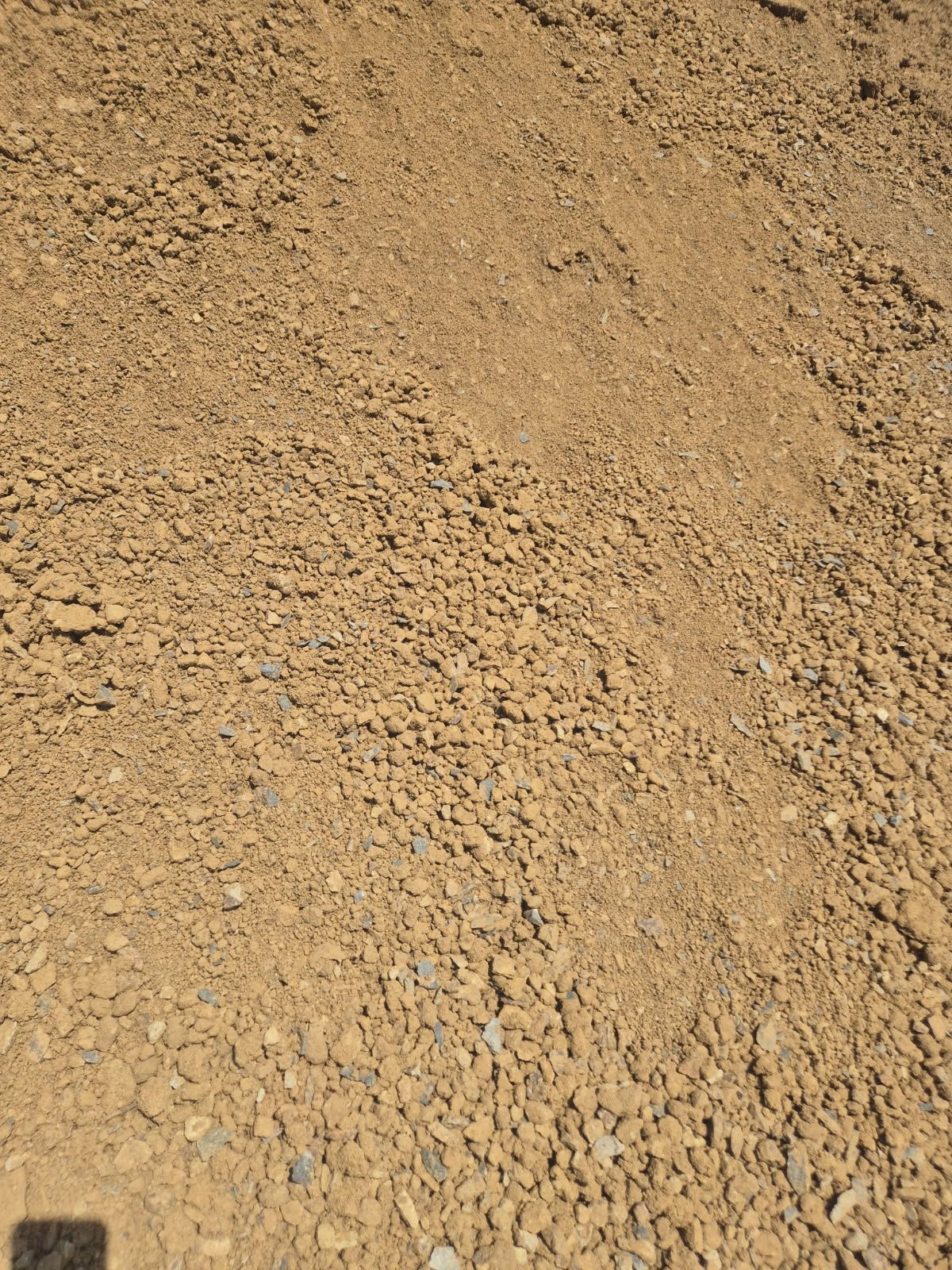 Image Place Holder