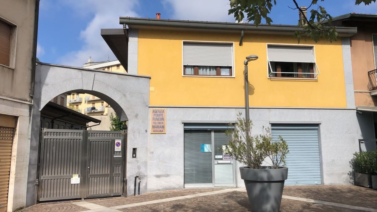 Un edificio giallo con una pianta in vaso di fronte