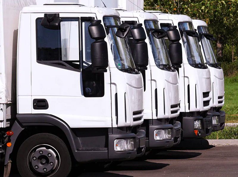 A row of white trucks are parked in a parking lot.