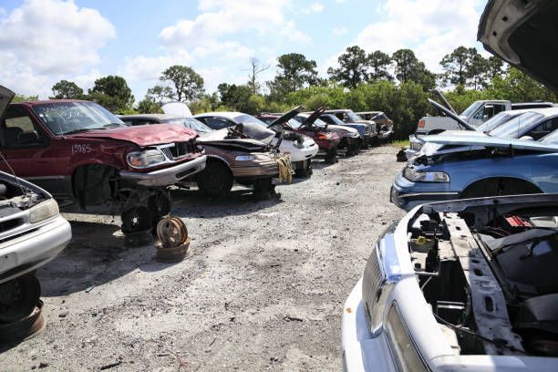 A collection of junk cars ready 