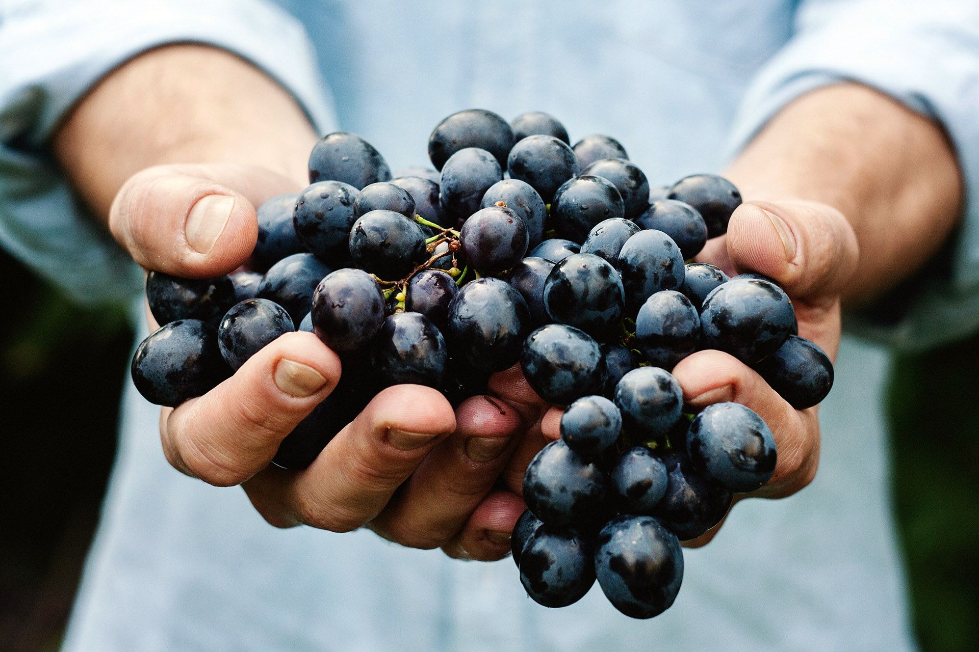 Heavenly Father, show me Your hand in my life and how You are providing for me to live abundantly. 