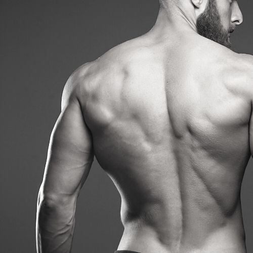 Plastic Surgery for Men - Dr Ehren Eksteen Plastic Surgeon Pretoria