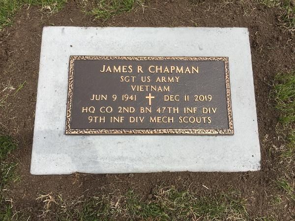 A bronze veteran military grave marker for James R. Chapman set in a light concrete base surrounded by grass.
