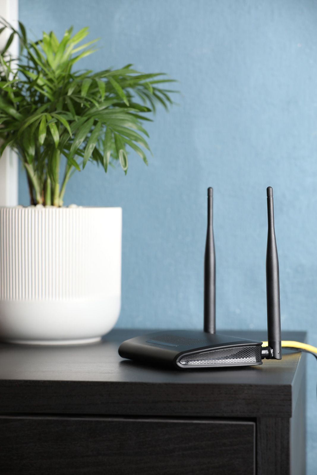A router is sitting on a table next to a potted plant.