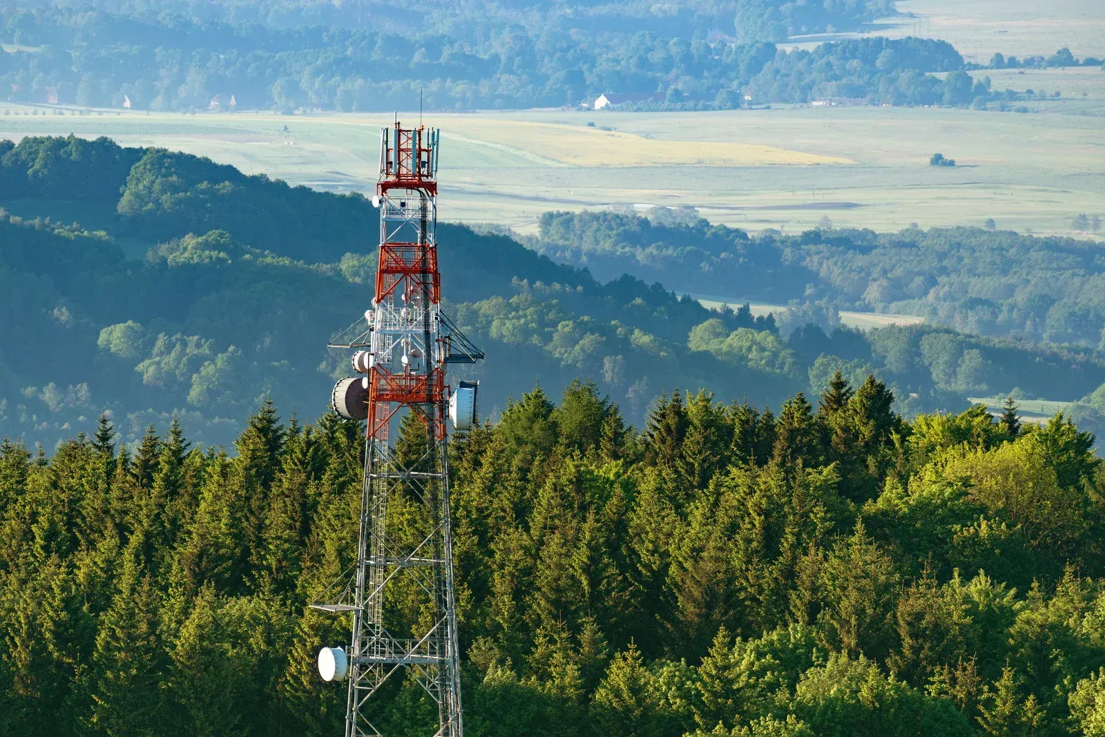 A telephone tower is surrounded by trees in the middle of a forest.