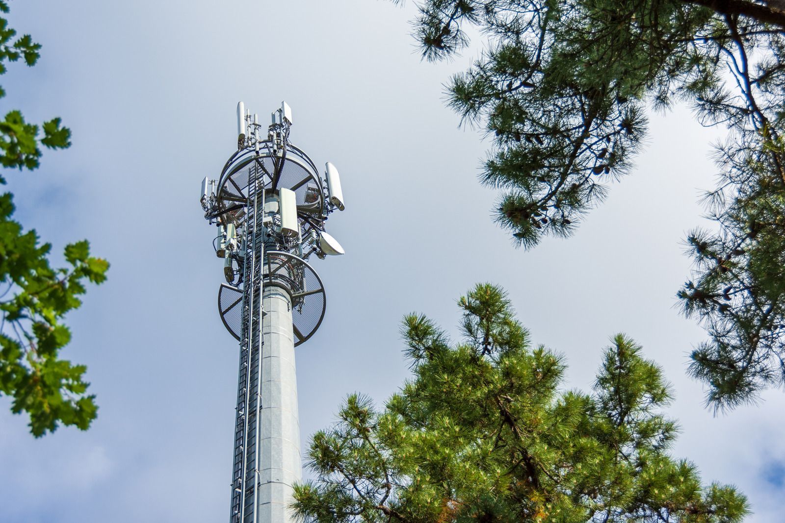 A cell phone tower is surrounded by trees and a blue sky.