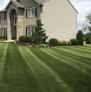 A lawn mower is cutting a lush green lawn.