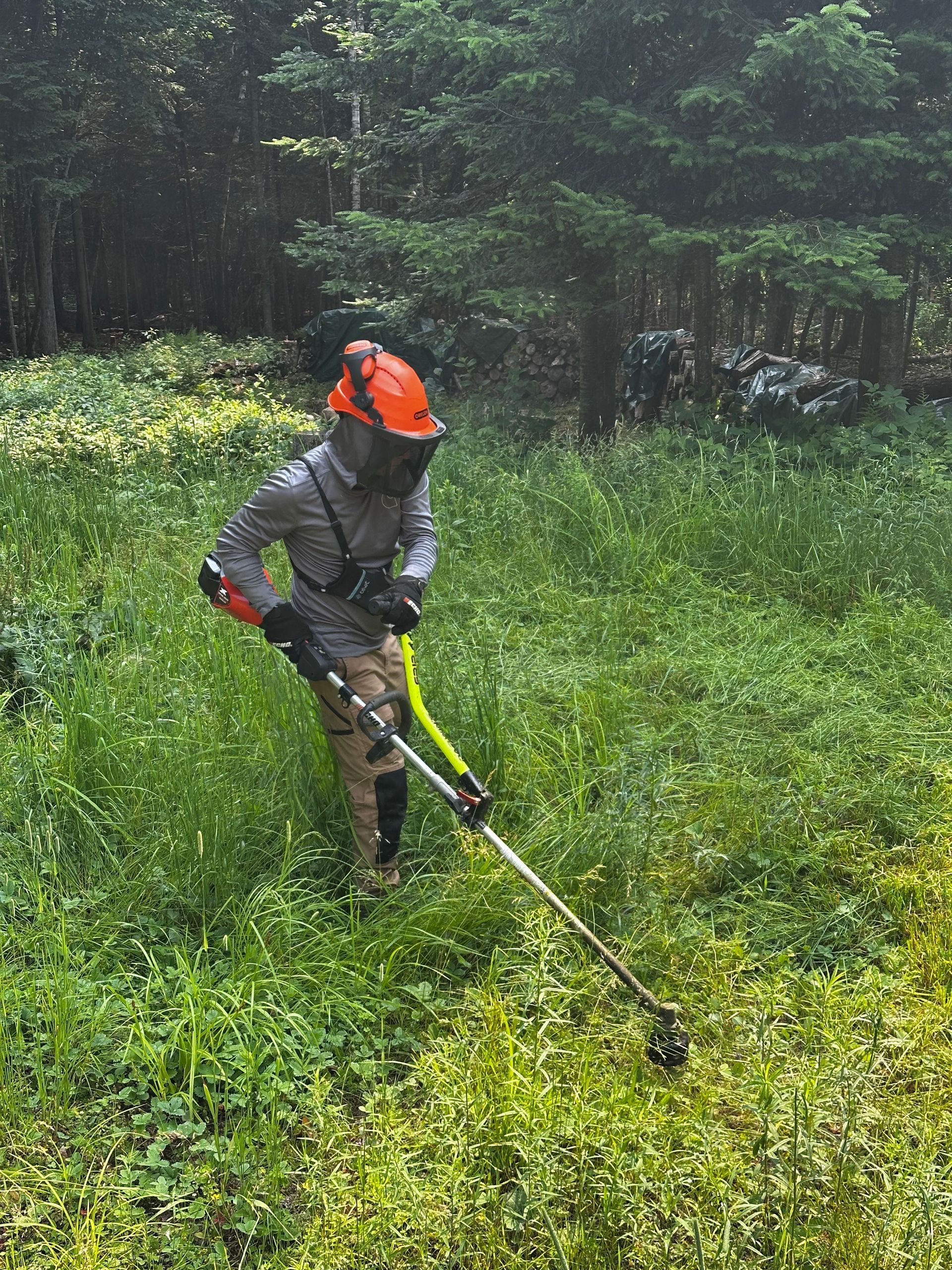 Débroussaillage ouverture et entretien de terrain.